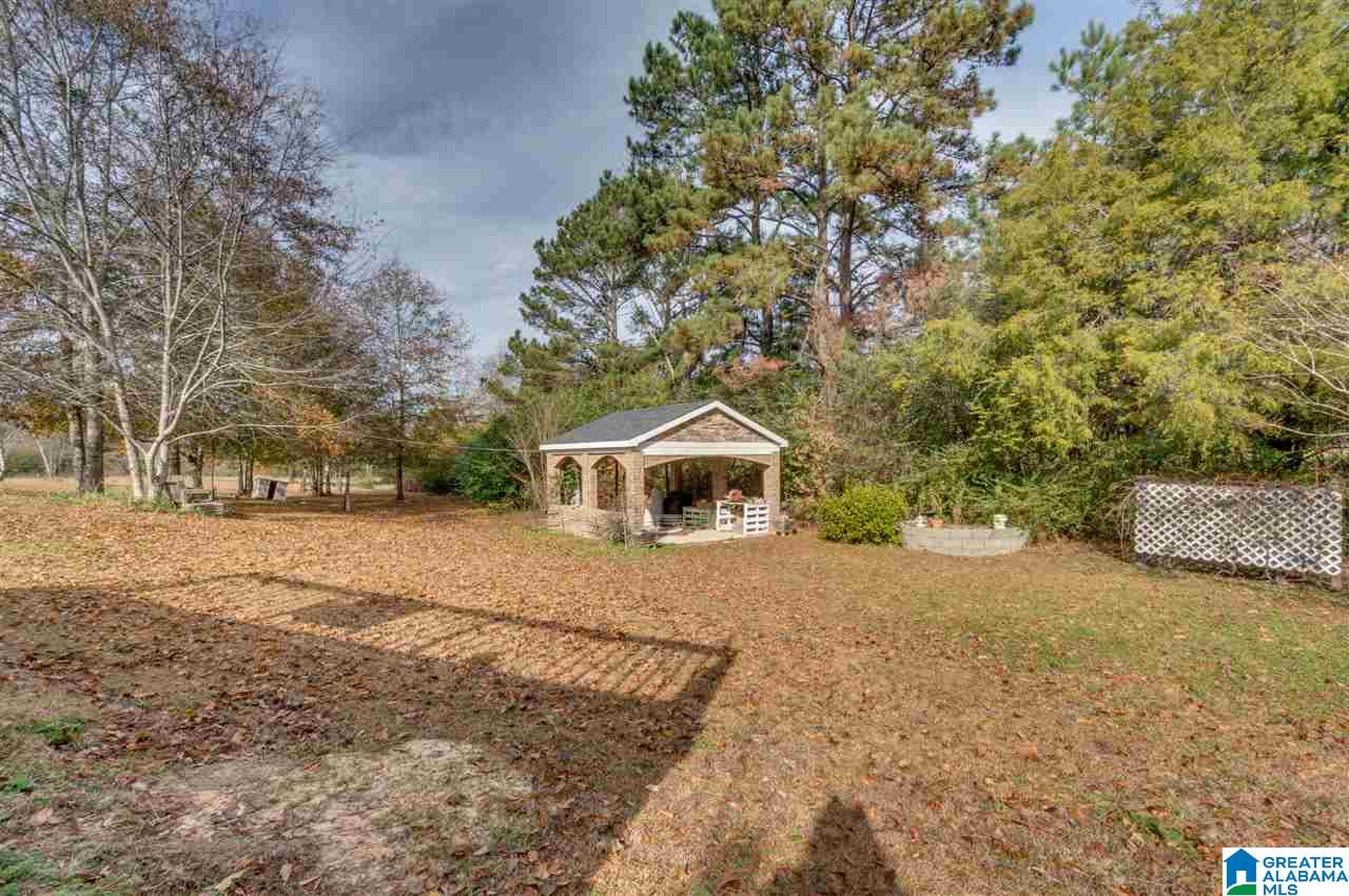5313 County Road 24 Verbena, AL 36091 - Photo 43 of 49