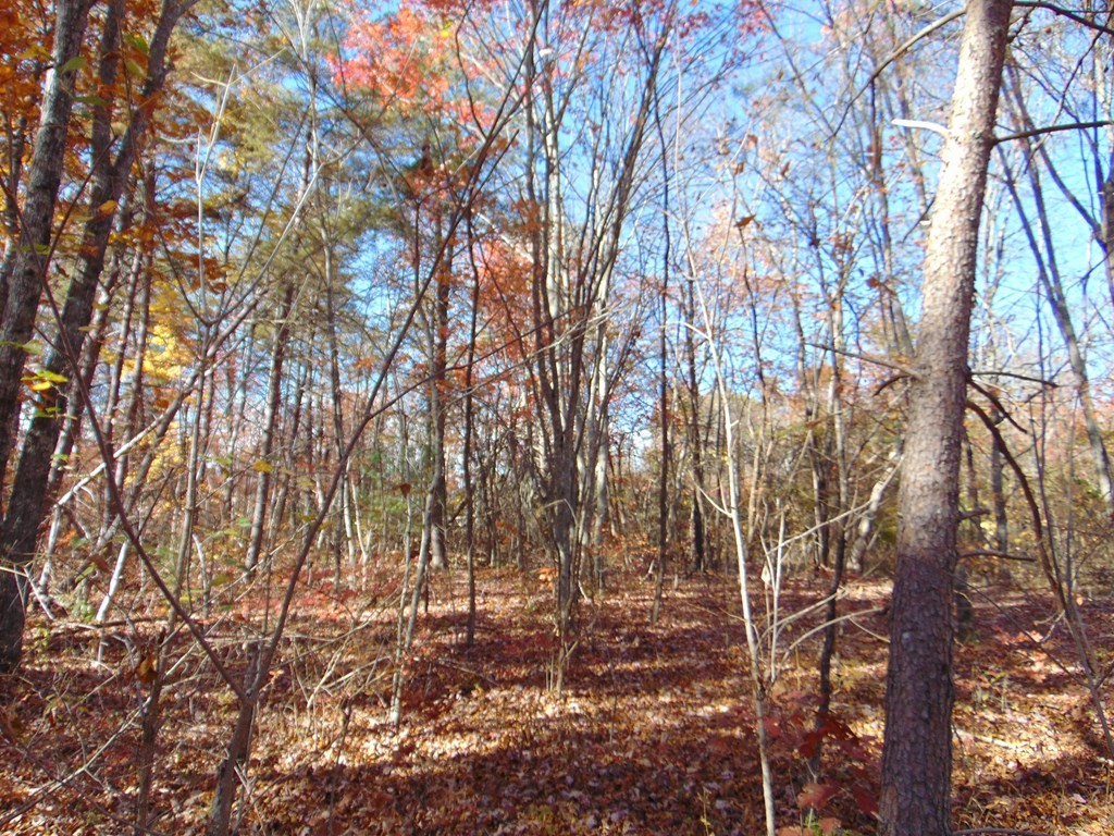 0 Raccoon Ridge Road Spring City, TN 37381 - Photo 13 of 70