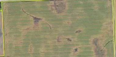 $698,697 | 14409 560th Avenue, Donnelly, MN 56235