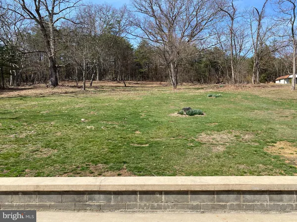 a view of a tree in a yard