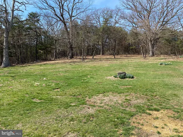 a view of house with garden and trees