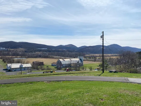 a view of a garden and mountain