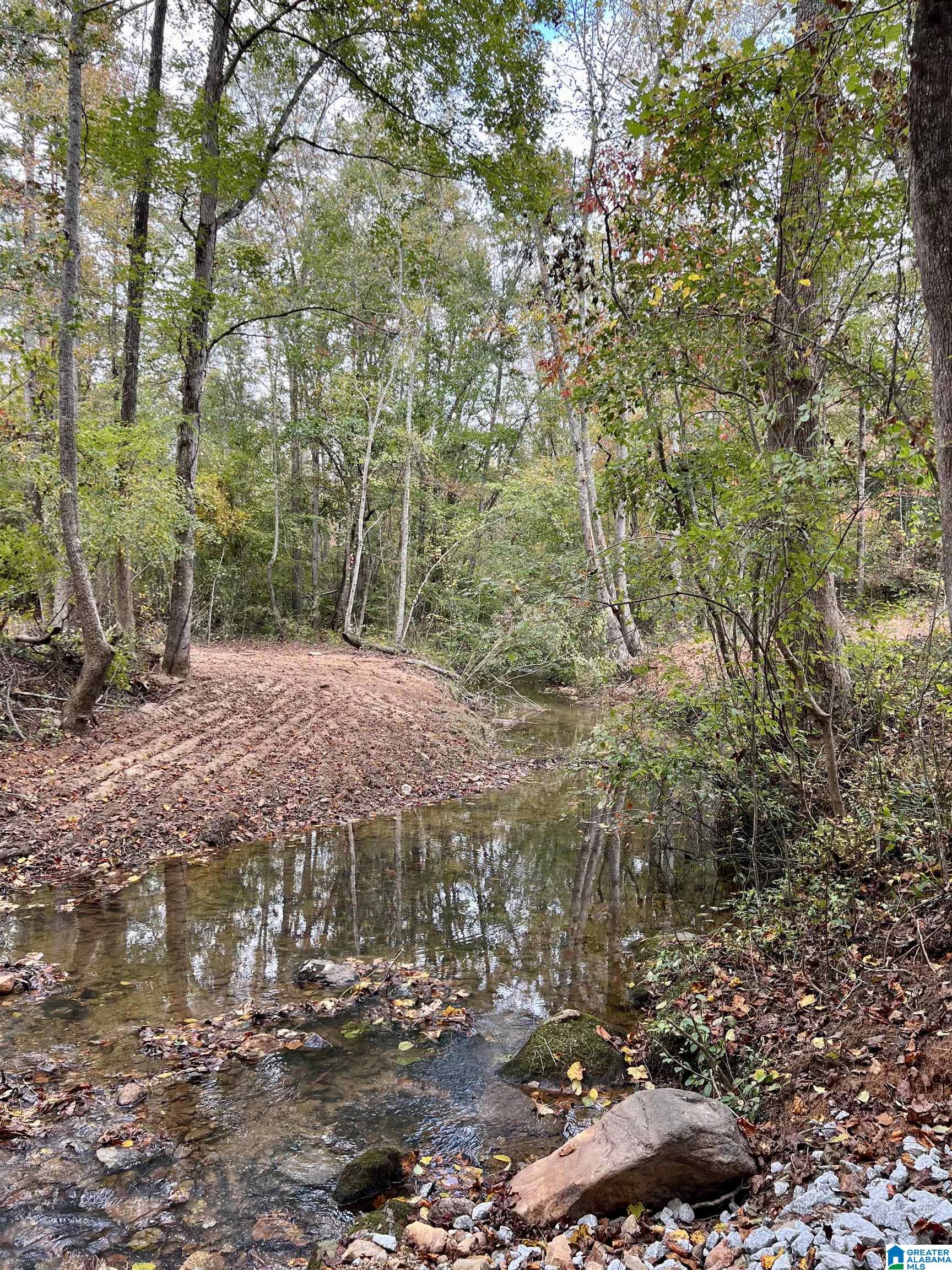 0 County Road 4 Wedowee, AL 36278 - Photo 5 of 24