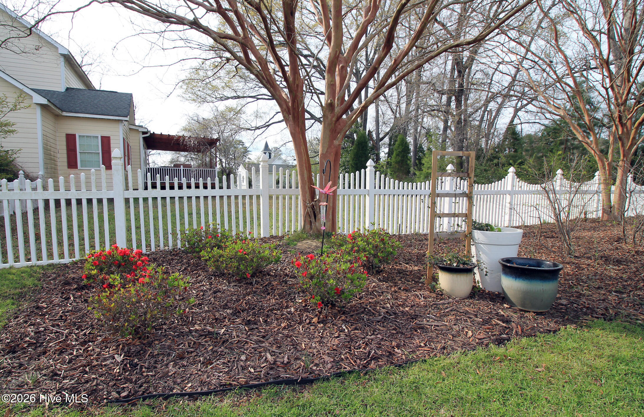 18 Queens Way Bath, NC 27808 - Photo 48 of 63 azalea garden