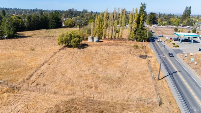 a view of a backyard with trees