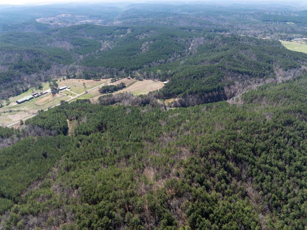 15201 Co Road Carbon Hill, AL 35549 - Photo 35 of 46 Gallery Image 35