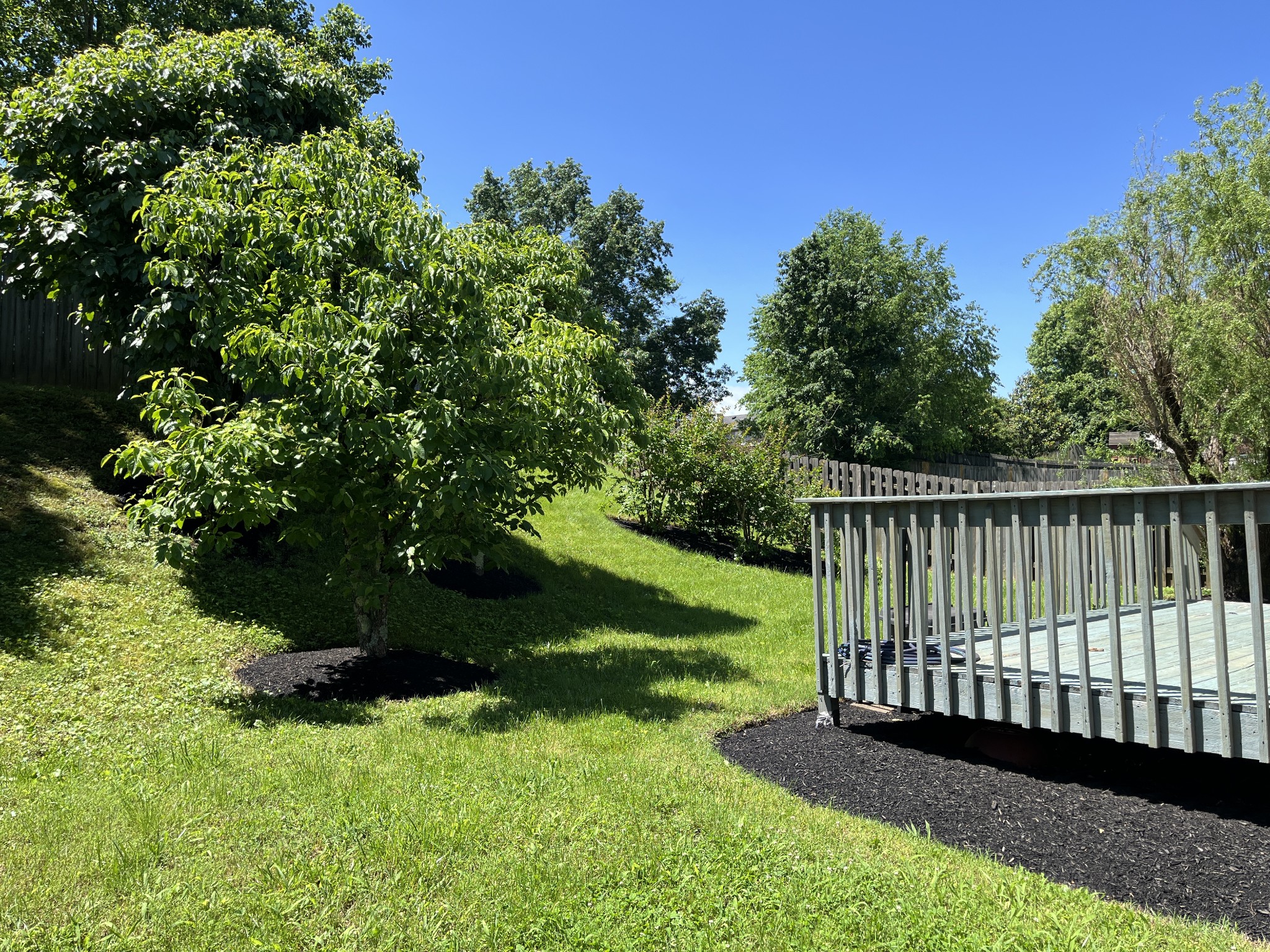 8154 Coley Davis Road Nashville, TN 37221 - Photo 8 of 23 Gallery Image 8