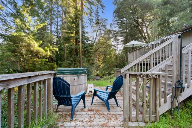 a view of a tree in a yard