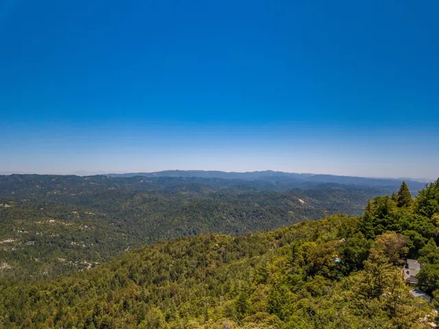 a sign that is sitting in front of a tree
