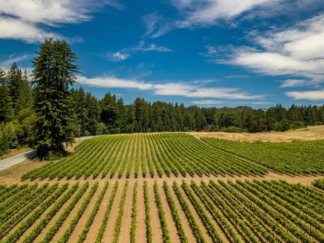 a view of a golf course with a big yard
