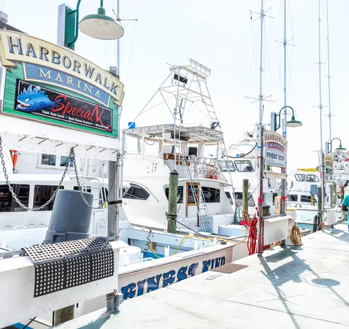 a view of lake from window
