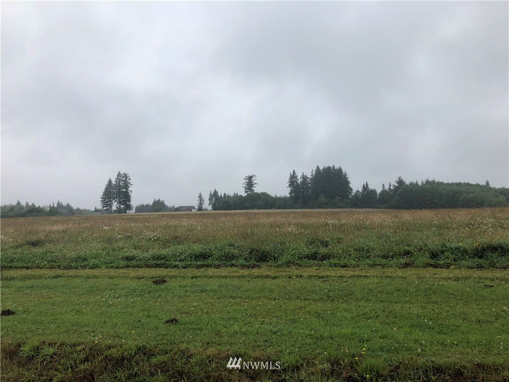 0 Greenwood Road Cathlamet, WA 98612 - Photo 2 of 2 Gallery Image 2