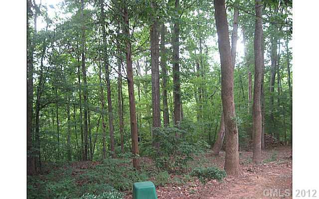 6108 Palomino Ridge Matthews, NC 28104 - Photo 12 of 13 Gallery Image 12