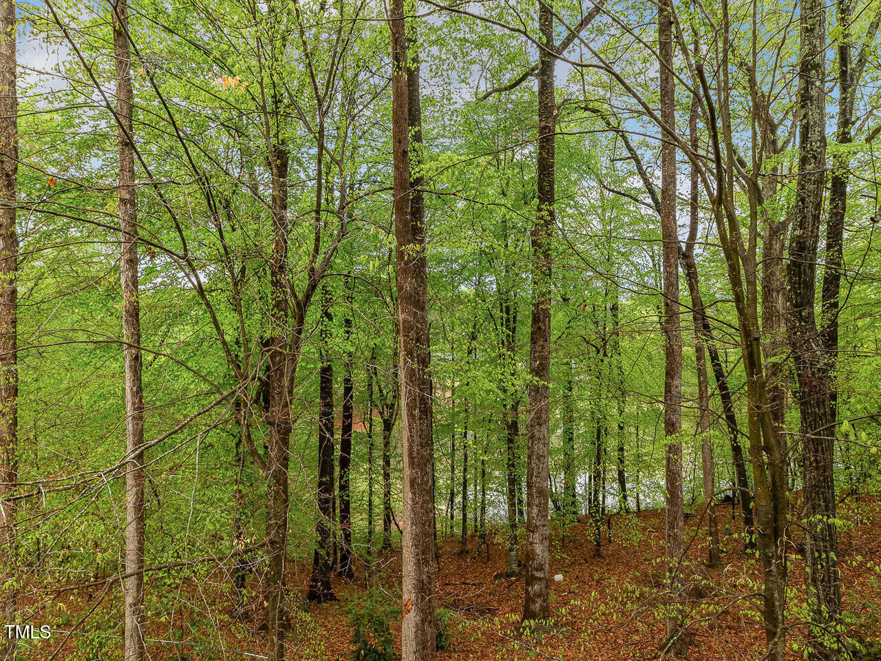 3900 Maplefield Drive Raleigh, NC 27613 - Photo 45 of 58 3900 Maplefield Dr Raleigh NC 27613 USA-