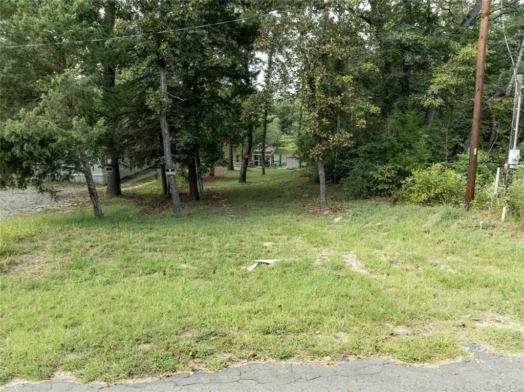 a view of a trees in a yard