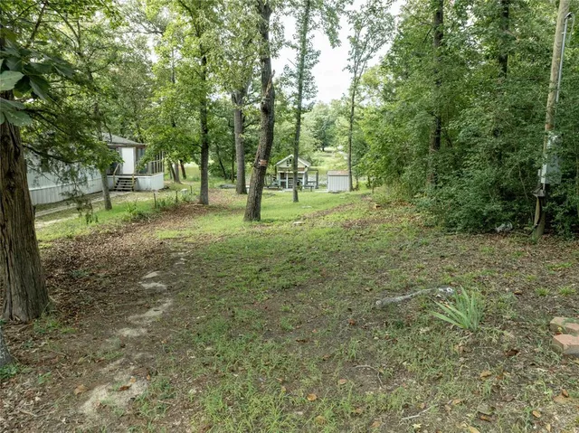 a view of a tree in a yard
