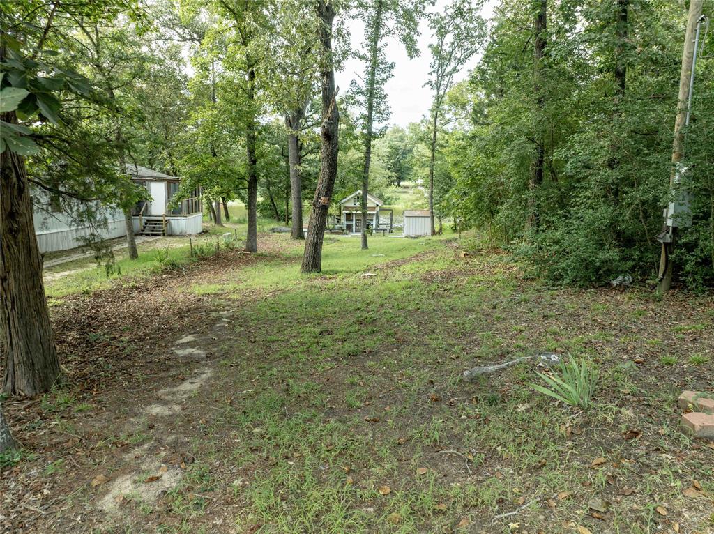 135 Ridgewood Lane Murchison, TX 75778 - Photo 2 of 19 a view of a tree in a yard