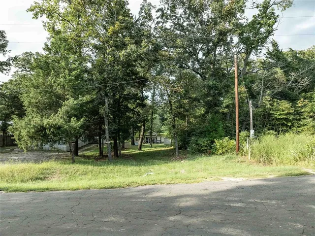 a view of a backyard with large trees