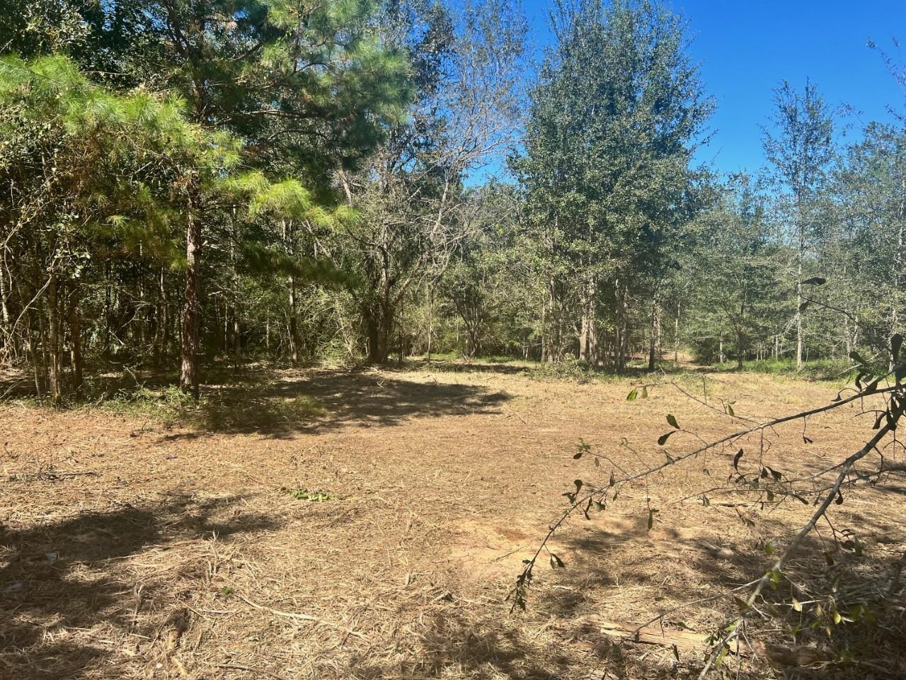 24205 Waterworld Road Robertsdale, AL 36567 - Photo 1 of 4