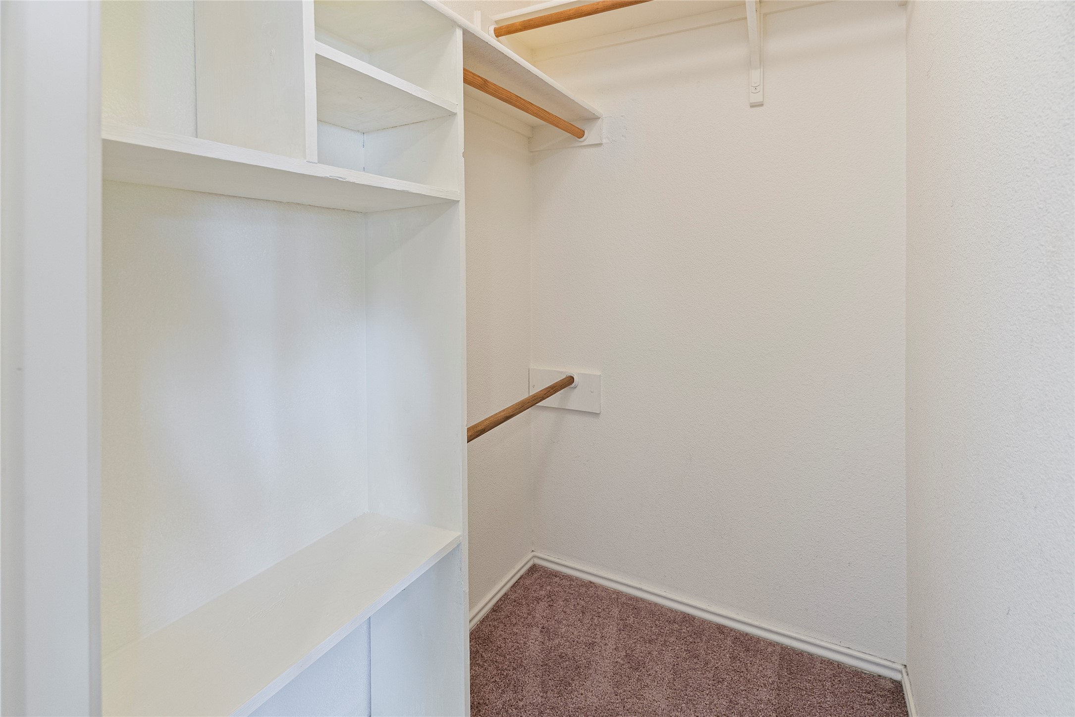 348 Atlantis Kyle, TX 78640 - Photo 15 of 17 Walk in closet featuring dark colored carpet