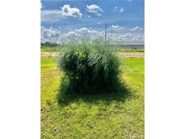 $159,000 | 83025 160th Street, Sacred Heart, MN 56285