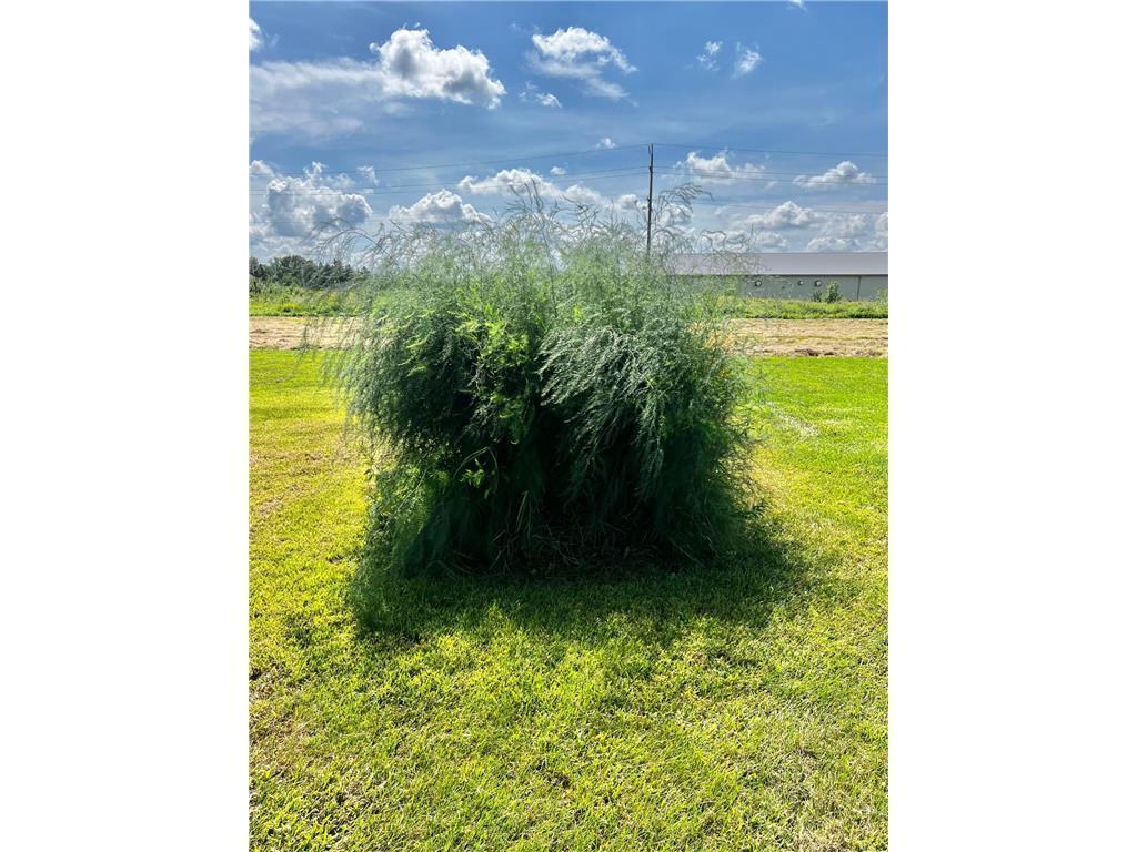 83025 160th Street Sacred Heart, MN 56285 - Photo 42 of 46