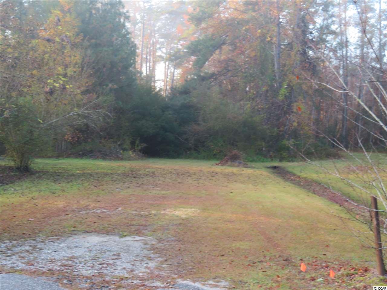 1.60-acres Dirty Branch Road Conway, SC 29527 - Photo 1 of 8 Gallery Image 1