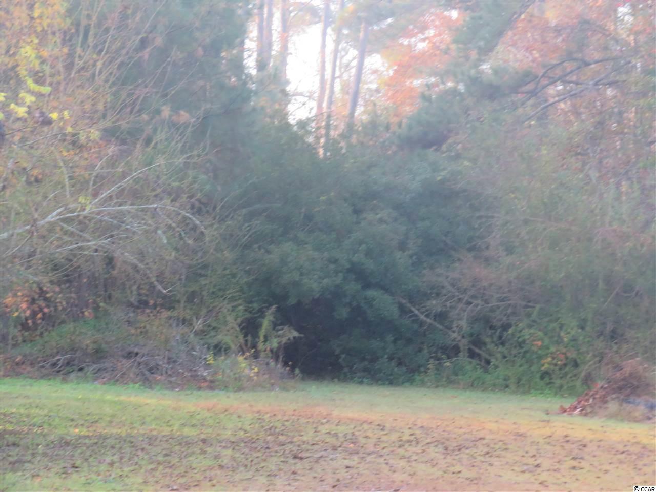 1.60-acres Dirty Branch Road Conway, SC 29527 - Photo 2 of 8 Gallery Image 2