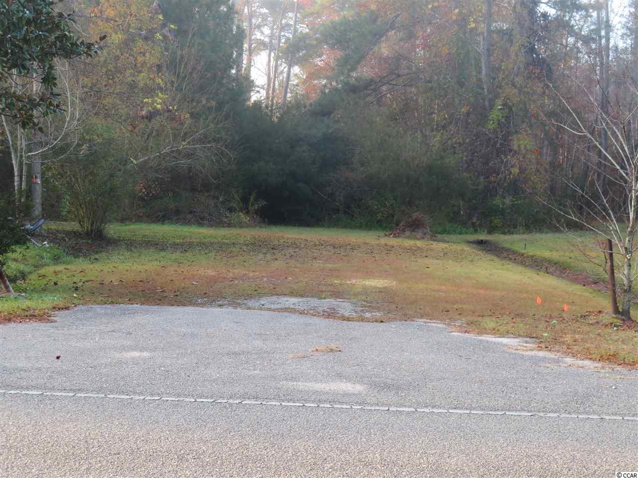 1.60-acres Dirty Branch Road Conway, SC 29527 - Photo 3 of 8 Gallery Image 3
