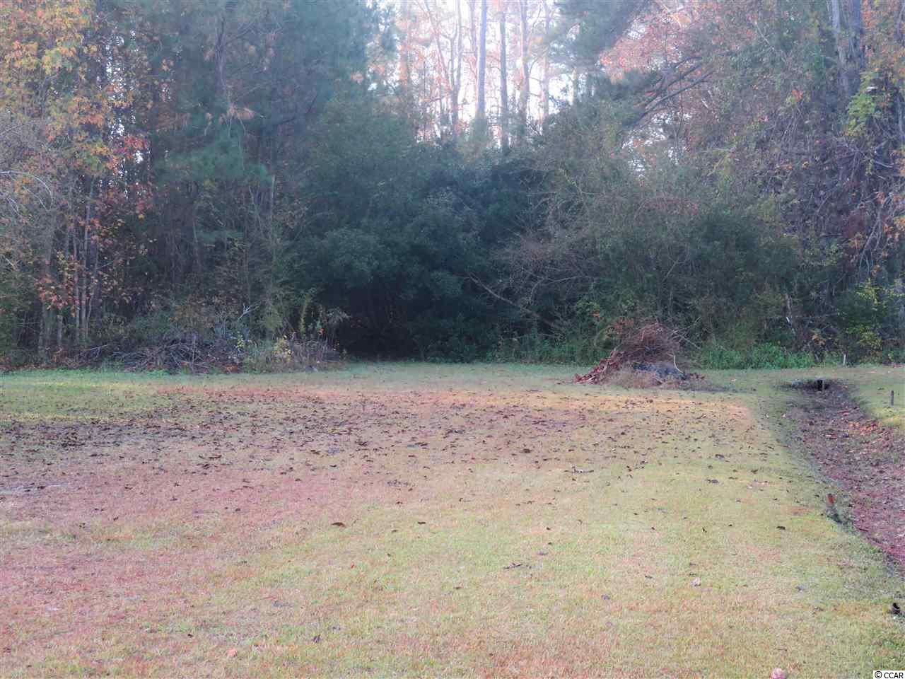 1.60-acres Dirty Branch Road Conway, SC 29527 - Photo 4 of 8 Gallery Image 4