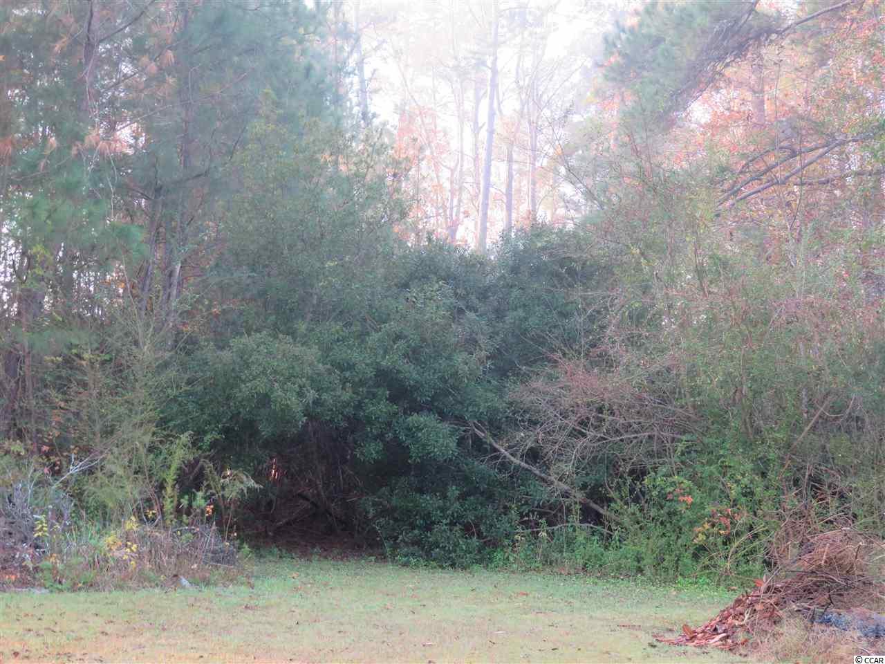 1.60-acres Dirty Branch Road Conway, SC 29527 - Photo 5 of 8 Gallery Image 5