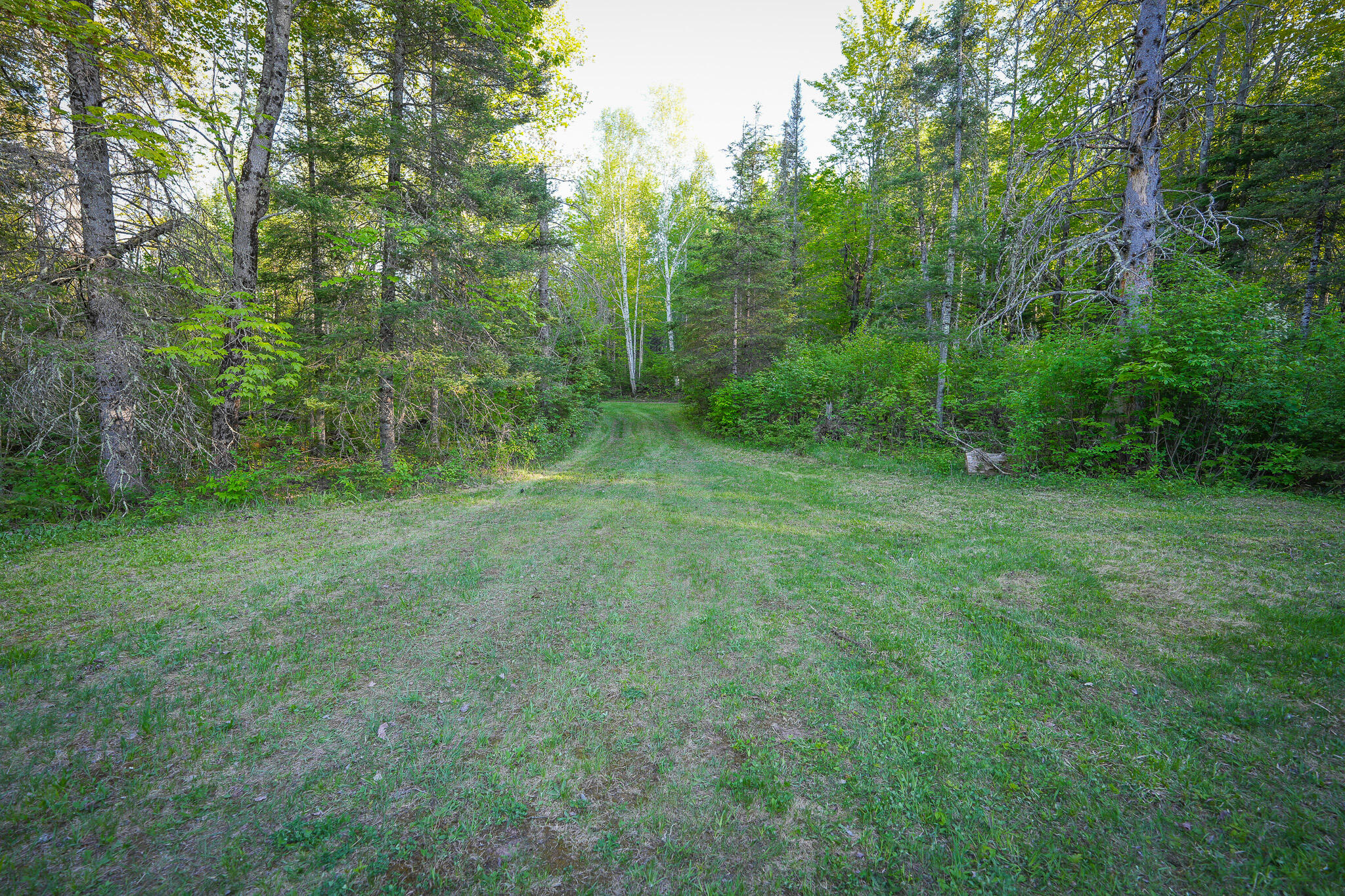 V/l V/l 33rd Road Perkins, MI 49872 - Photo 35 of 70 DSC00063
