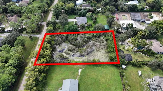 a view of a bunch of flowers and flowers