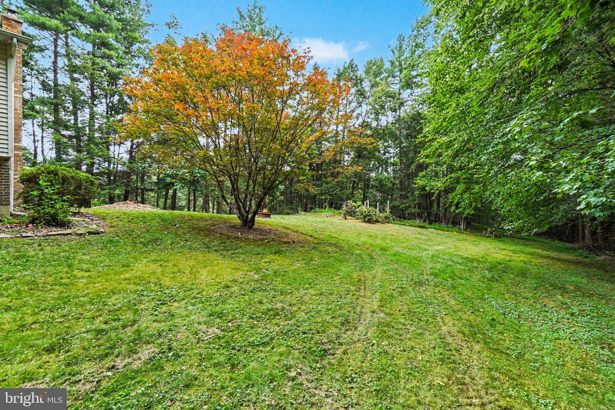 40 Montebello Road Duncannon, PA 17020 - Photo 2 of 28 Serene backyard with vibrant foliage.