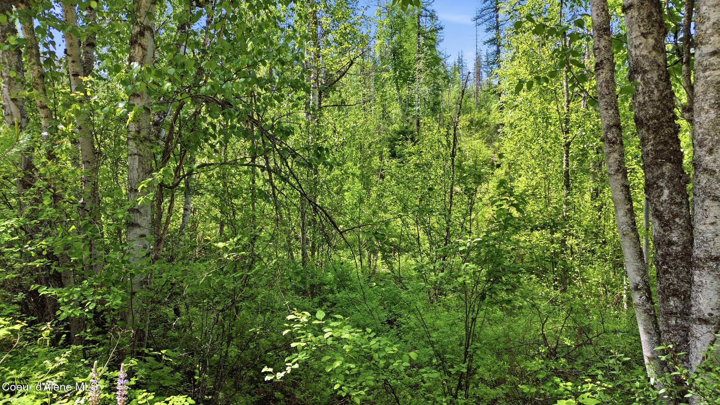 Nka Jewel Lake Road Sagle, ID 83860 - Photo 9 of 23 .