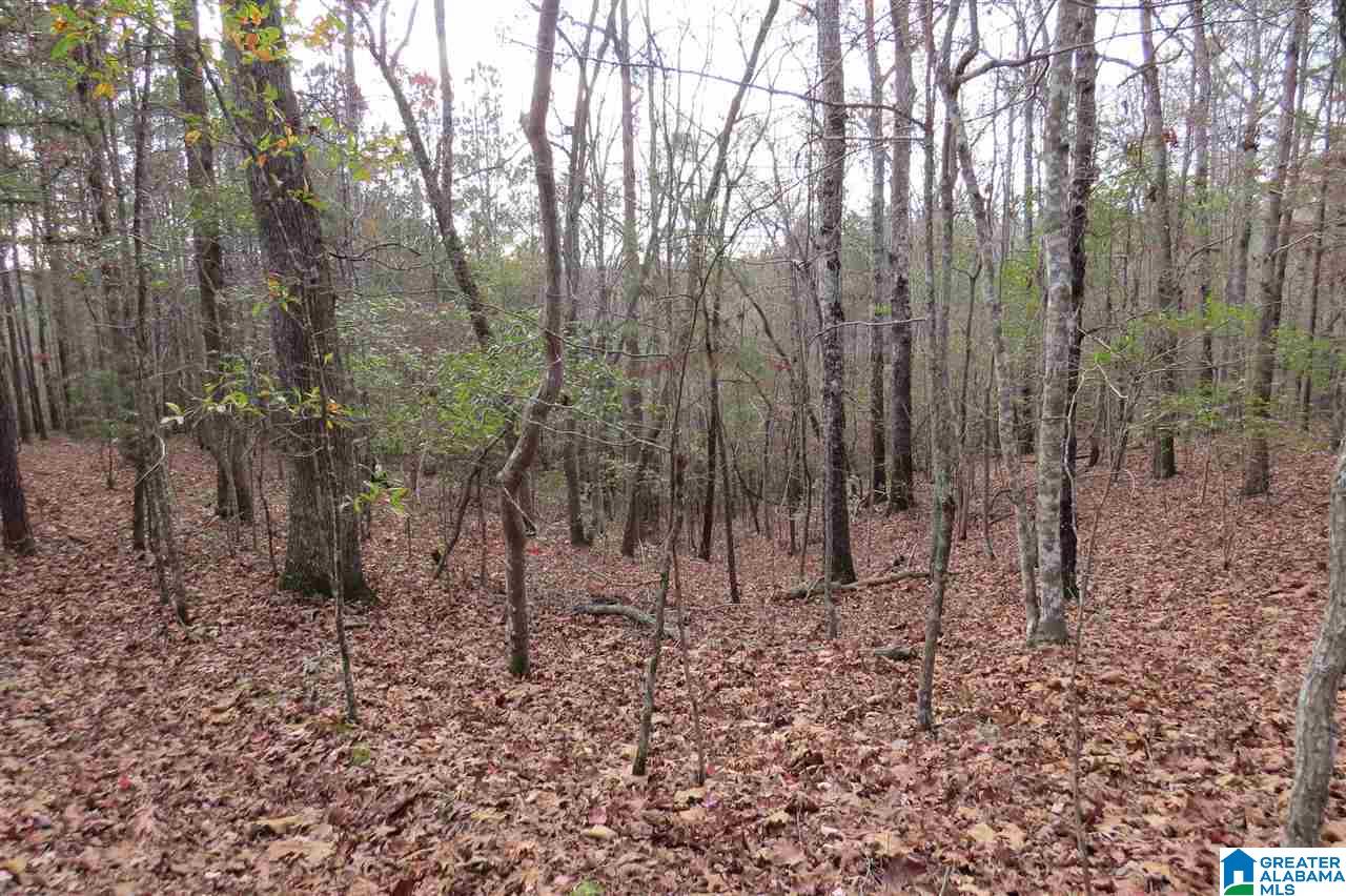 436 County Road, Unit 41 87 Muscadine, AL 36269 - Photo 4 of 8