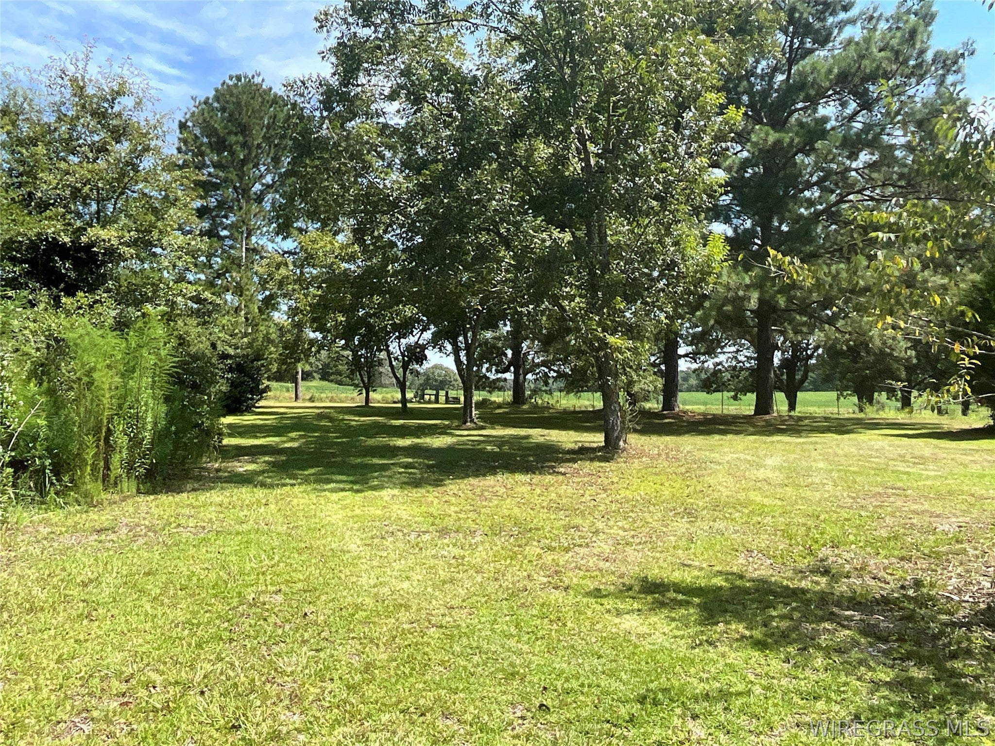 24132 Babbie Road Andalusia, AL 36421 - Photo 38 of 43 Gallery Image 38