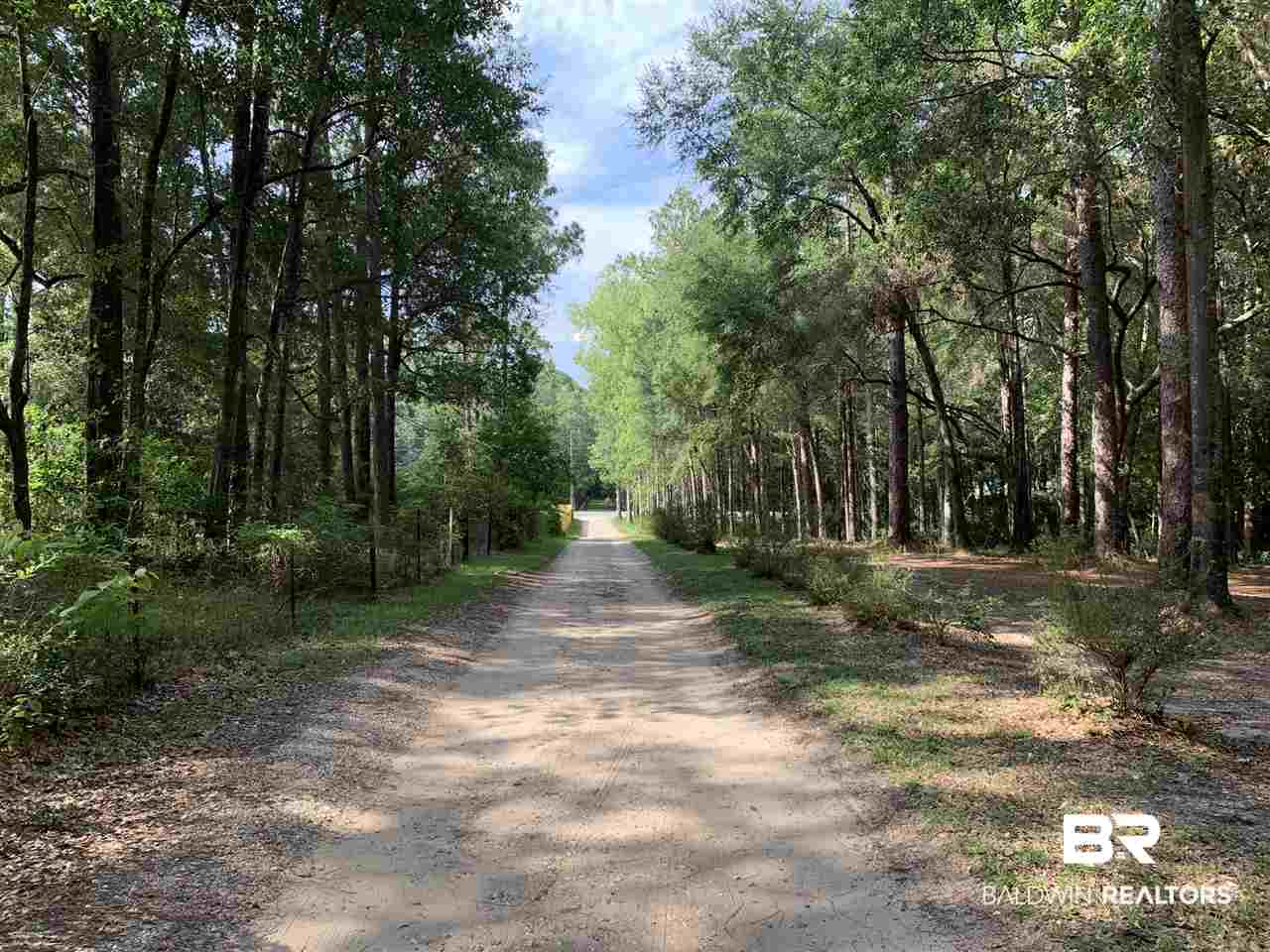 0 Frank Road Silverhill, AL 36576 - Photo 10 of 17