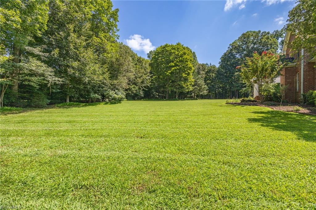 6694 Fegan Road Summerfield, NC 27358 - Photo 28 of 35 Backyard