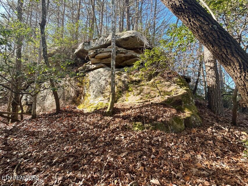 0 Deerhead Road Dunlap, TN 37327 - Photo 4 of 28 4
