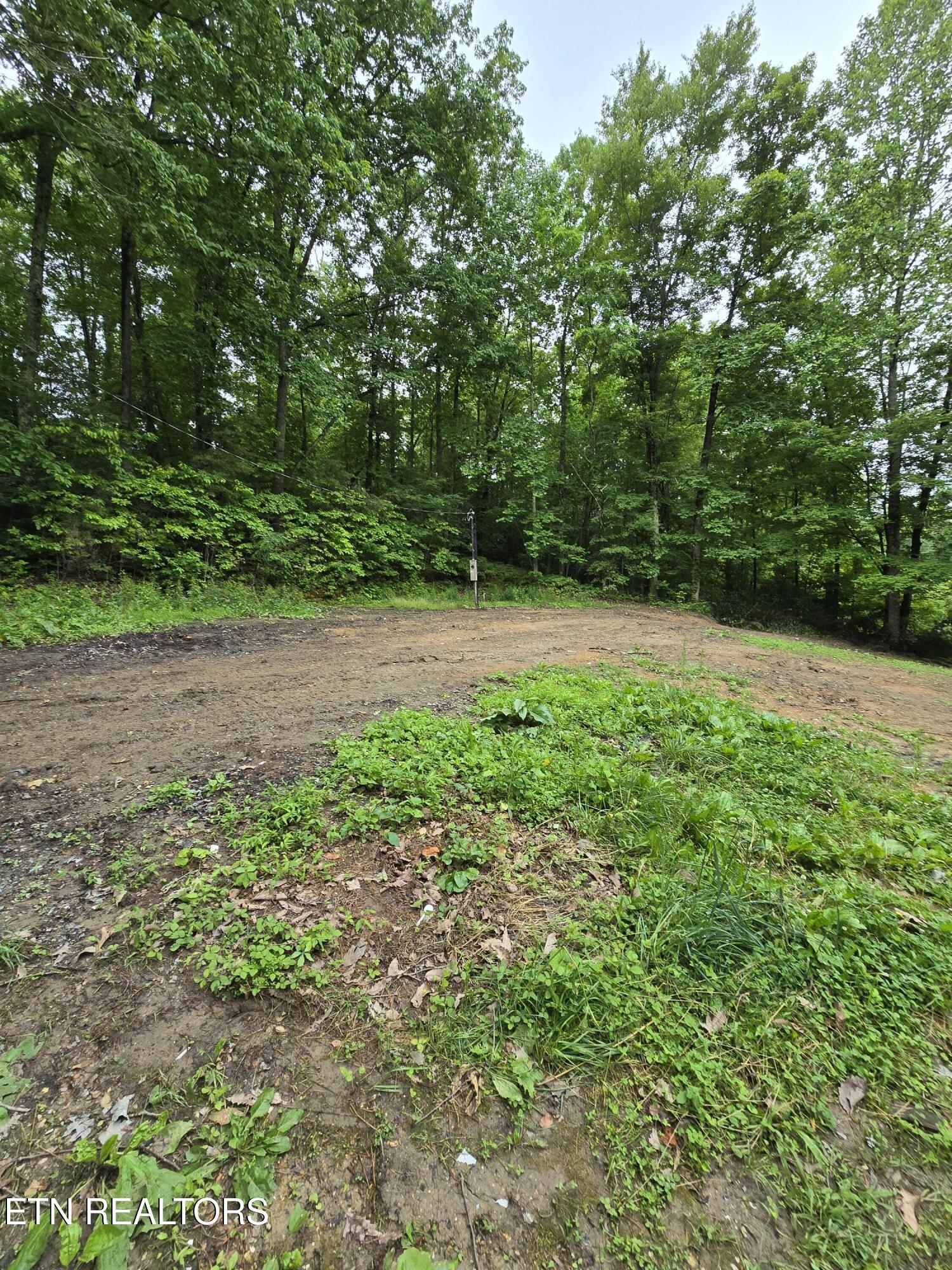 689 Ivey Hollow Road La Follette, TN 37766 - Photo 8 of 12 1000007094