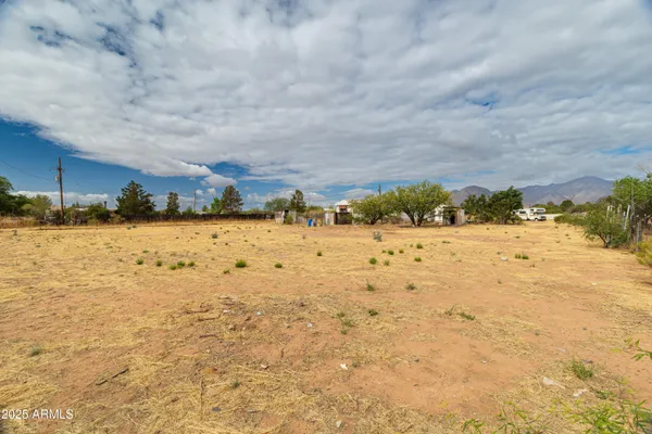 a view of a backyard with a large tree