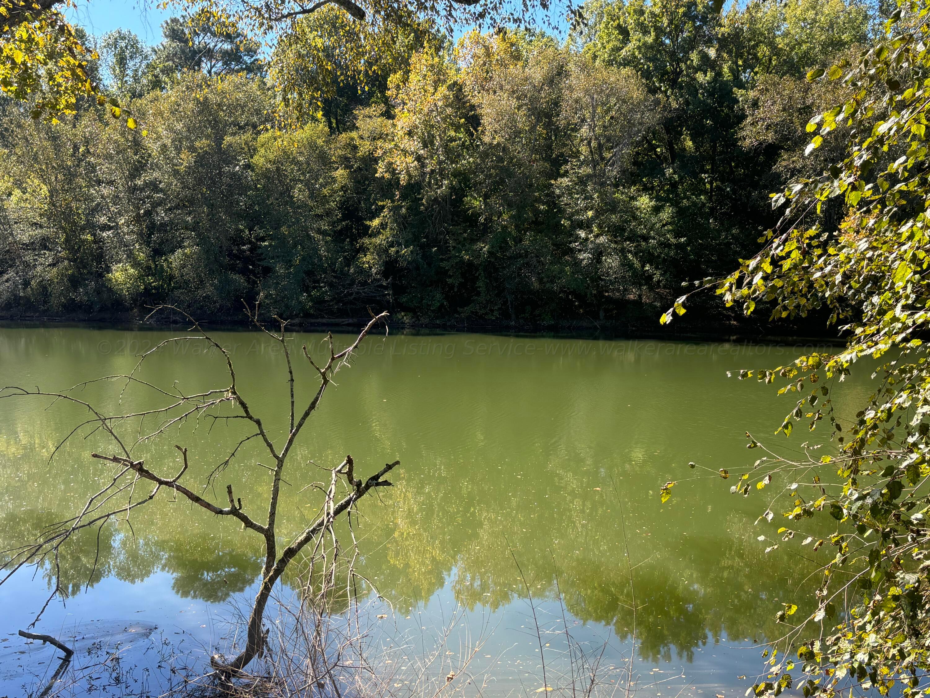 Lot 'b' Rivers Edge Trail Cordova, AL 35550 - Photo 4 of 5 Gallery Image 4