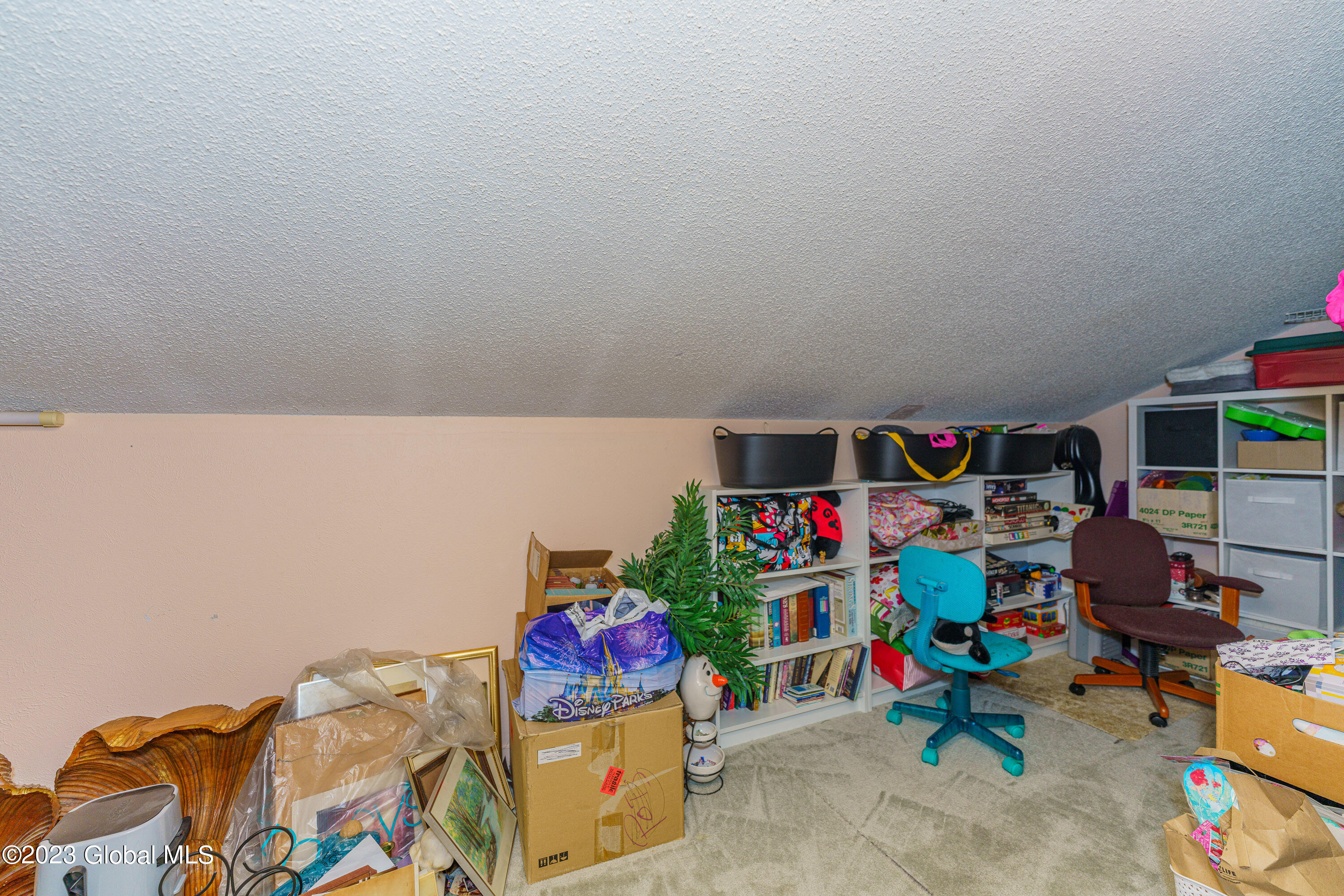 8 Cromwell Drive Halfmoon, NY 12065 - Photo 26 of 33 6 Storage