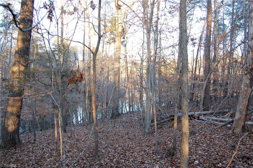 4070 Pond Road Burlington, NC 27215 - Photo 1 of 9 One of the many views of the water from this fantastic lot.
