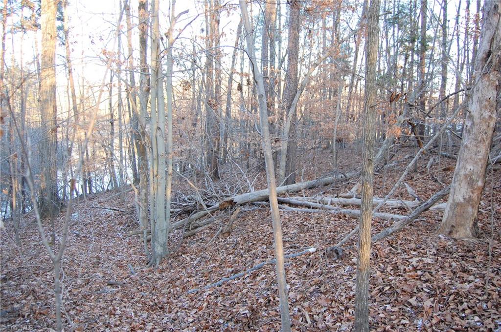 4070 Pond Road Burlington, NC 27215 - Photo 8 of 9 A second view of Lake Macintosh, imagine how great the view would be from your new deck or upstairs balcony.