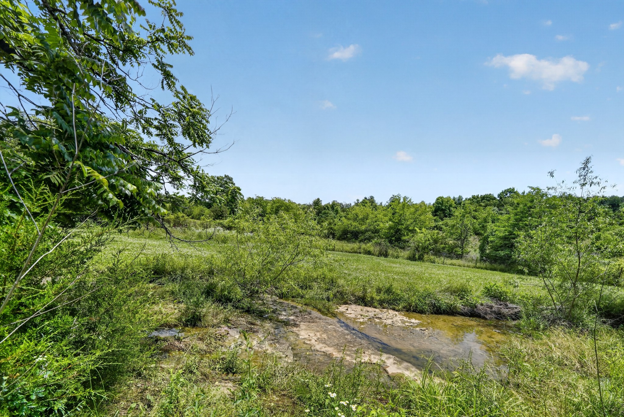 432 Moore Hollow Road Prospect, TN 38477 - Photo 41 of 44