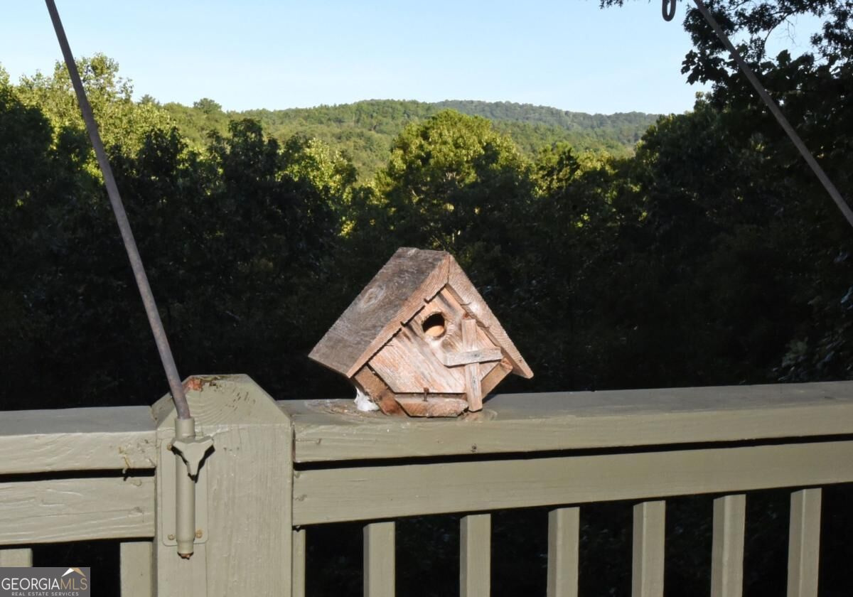 344 Buck Ridge Road, Unit 10B Suches, GA 30572 - Photo 36 of 50 Gallery Image 36