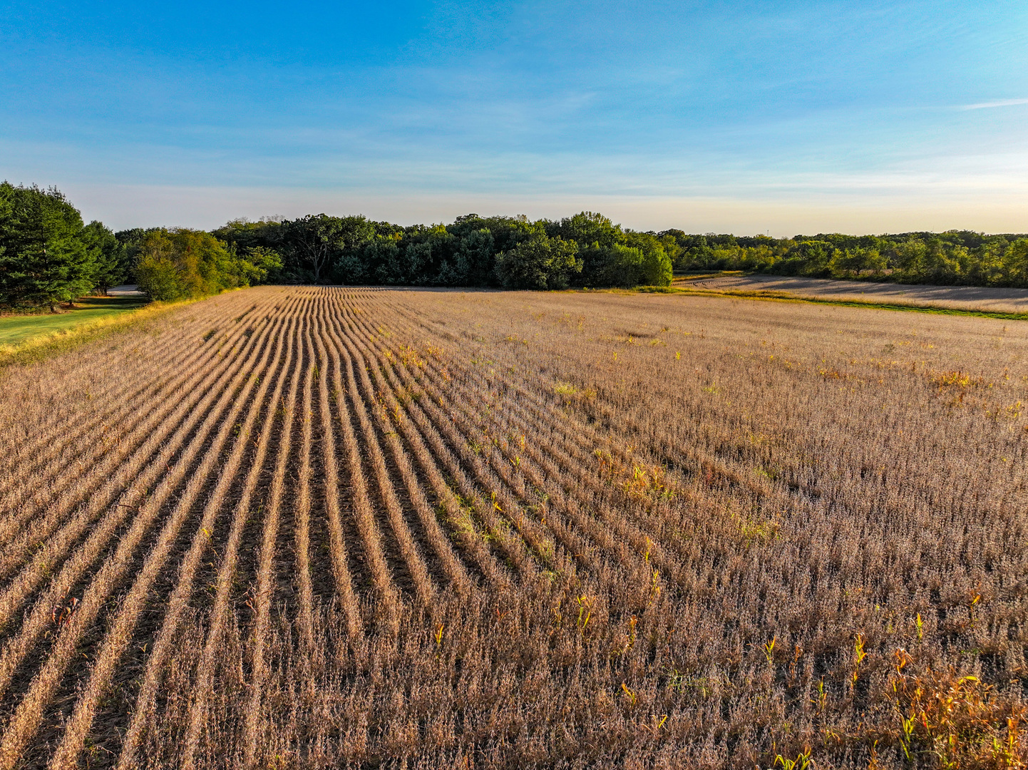 0 Lawrenceville Road Garden Prairie, IL 61038 - Photo 17 of 99 Gallery Image 17