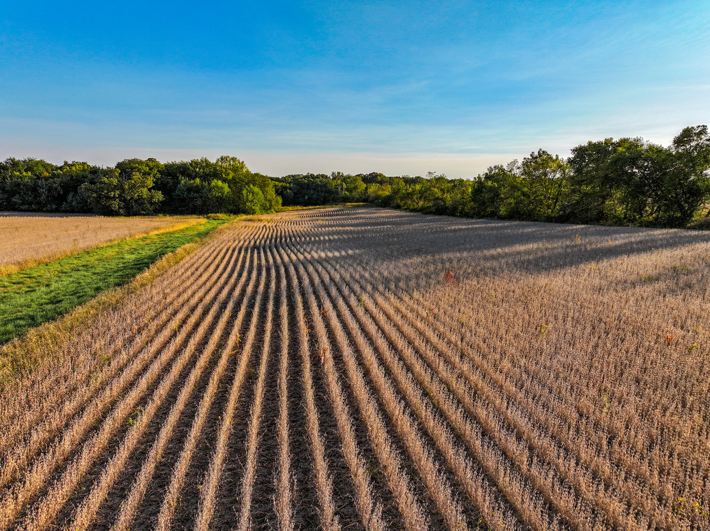0 Lawrenceville Road Garden Prairie, IL 61038 - Photo 19 of 99 Gallery Image 19
